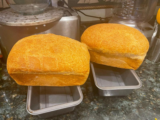 White Yeast Sandwich Bread
